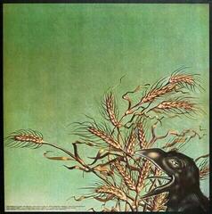 Disco de vinil Grateful Dead - Wake Of The Flood (Anniversary Edition) (Cola-Bottle Clear Coloured) (LP) - 2