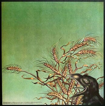 LP ploča Grateful Dead - Wake Of The Flood (Anniversary Edition) (Cola-Bottle Clear Coloured) (LP) - 3