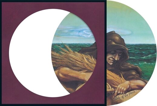 LP ploča Grateful Dead - Wake Of The Flood (Anniversary Edition) (Picture Disc) (LP) - 2