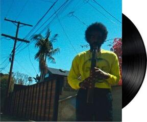 Vinyl Record André 3000 - Moving Day (LP) - 1