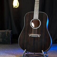 Akusztikus gitár Washburn DFED-U Striped Ebony Akusztikus gitár - 7
