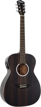 Elektroakusztikus gitár Washburn DFEFE-U Striped Ebony Elektroakusztikus gitár - 4