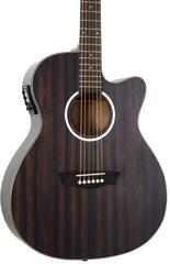 Elektroakusztikus gitár Washburn DFEACE-U Striped Ebony Elektroakusztikus gitár - 2