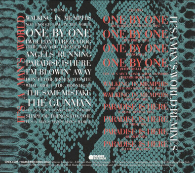 Glasbene CD Cher - It's A Man's World (Reissue) (Remastered) (Deluxe Edition) (2 CD) - 4