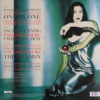 LP ploča Cher - It's A Man's World (Red, Yellow, Green, Blue Coloured) (Box Set) (Deluxe Edition) (4 LP) - 7