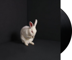 LP ploča Brume - Rabbits (LP) - 1