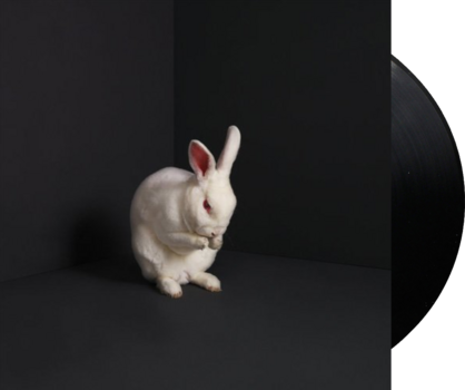 LP deska Brume - Rabbits (LP) - 2