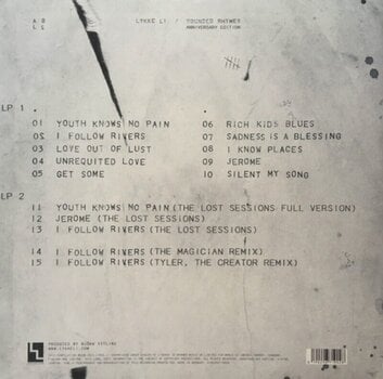 LP platňa Lykke Li - Wounded Rhymes (Reissue) (2 LP) - 3