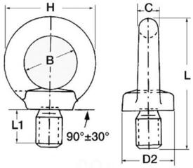 Augplatte, Leitöse Osculati Forged Eyebolt AISI316 Male - 1