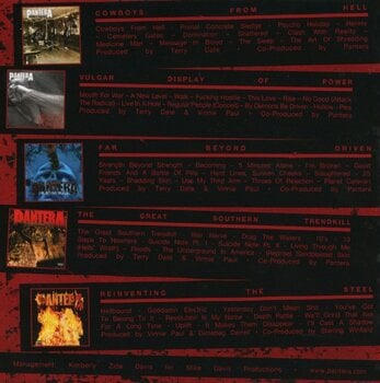 Music CD Pantera - The Complete Studio Albums 1990-2000 (Box Set) (Reissue) (5 CD) - 3