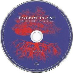 Musik-CD Robert Plant - Digging Deep: Subterranea (2 CD) - 2