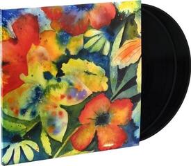 Disque vinyle Adrianne Lenker - Songs And Instrumentals (2 LP) - 1