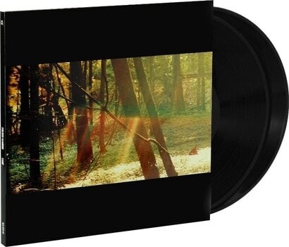 LP ploča Childish Gambino - Camp (180g) (2 LP) - 2