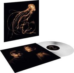 LP platňa Royal Blood - Back To The Water Below (Indie Exclusive) (Limited Edition) (Clear Coloured) (LP) - 1
