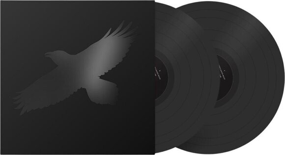 Schallplatte Sigur Rós - Odins Raven Magic (2 LP) - 2