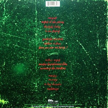 Δίσκος LP Counting Crows - Recovering The Satellites (Reissue) (Remastered) (180g) (2 LP) - 7