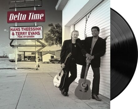 LP ploča Hans Theessink - Delta Time (180g) (LP) - 2