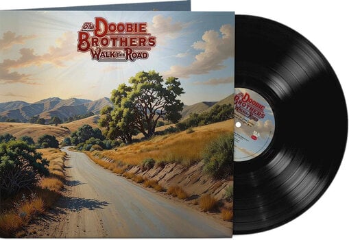 Disc de vinil The Doobie Brothers - Walk This Road (140 g) (LP) - 2