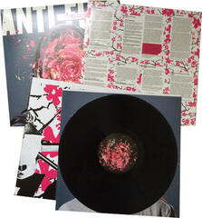 Vinylplade Anti-Flag - American Spring (Reissue) (LP) - 1