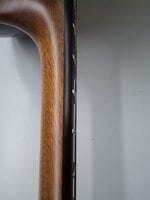 LAG Tramontane 118 T118D Natural Akustična kitara