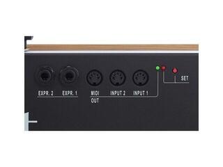 MIDI-Pedalboard Viscount MIDI Bass Pedal 30-note Straight MIDI-Pedalboard - 2