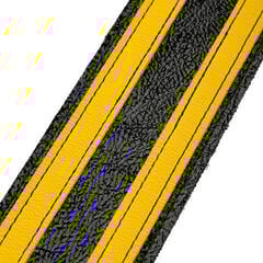 Gitarreim Levy's Jodi Head Icon Series Dragon Stripe - 1