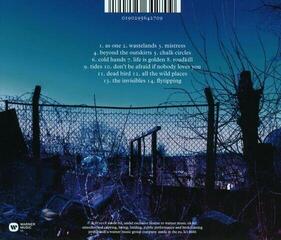 CD muzica Suede - The Blue Hour (CD) - 2