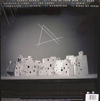 Hanglemez Wallis Bird - Architect (LP + CD) - 3