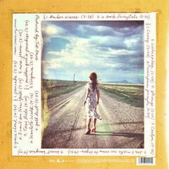 LP ploča Tori Amos - Scarlet's Walk (180 g) (Reissue) (Remastered) (2 LP) - 2