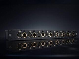 Patch panel Black Lion Audio PBR XSplit8 Patch panel - 6