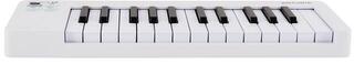 MIDI keyboard Arturia MicroLab mk3 MIDI keyboard White - 1
