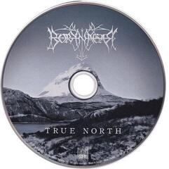 Musikk-CD Borknagar True North (Repress) (CD) - 1