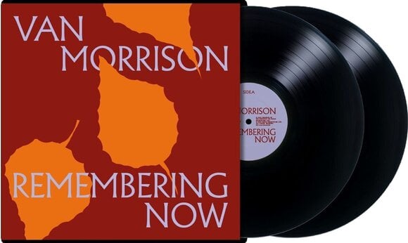 Грамофонна плоча Van Morrison - Remembering Now (2 LP) - 2