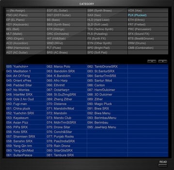 VST Instrument Roland SRX WORLD Key (Digitaal product) - 16