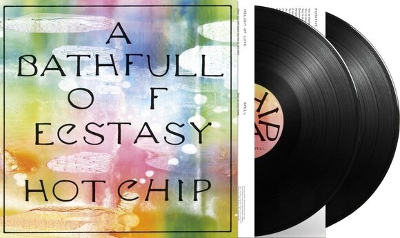 LP ploča Hot Chip - A Bath Full of Ecstasy (2 LP) - 2