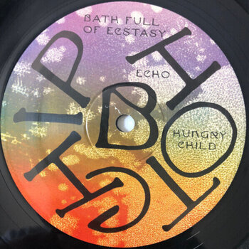 LP ploča Hot Chip - A Bath Full of Ecstasy (2 LP) - 4