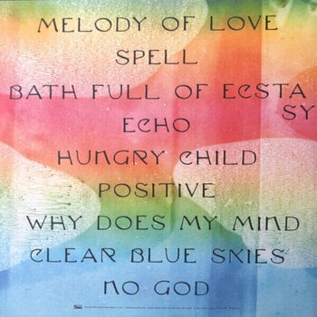 LP ploča Hot Chip - A Bath Full of Ecstasy (2 LP) - 7