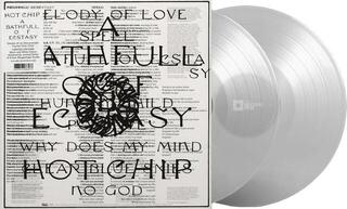 Schallplatte Hot Chip - A Bath Full of Ecstasy (Crystal Clear Coloured) (2 LP) - 1