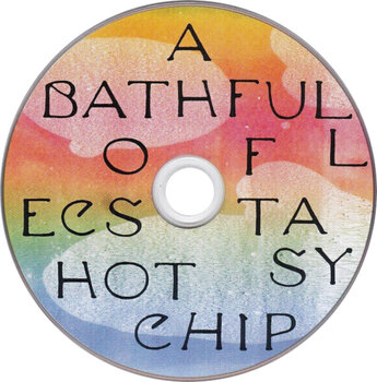 CD muzica Hot Chip - A Bath Full of Ecstasy (CD) - 2