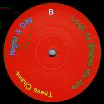 LP plošča Hot Chip - In Our Heads (2 LP) - 3