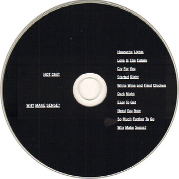 Muzički CD Hot Chip - Why Make Sense? (2 CD) - 2