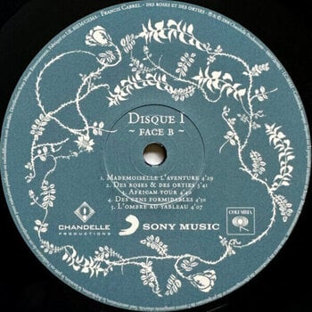 Disc de vinil Francis Cabrel - Des Roses Et Des Orties (2 LP) - 4