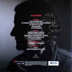Schallplatte Francis Cabrel - In Extremis (2 LP) - 6