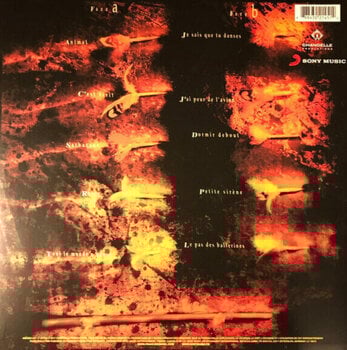 LP platňa Francis Cabrel - Sarbacane (Reissue) (LP) - 5