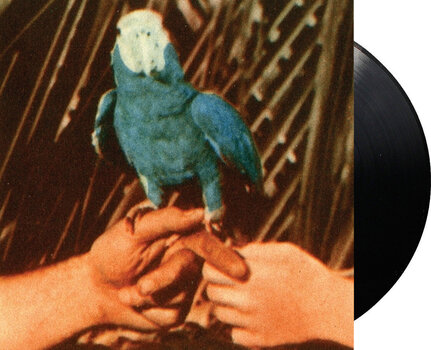 LP ploča Andrew Bird - Are You Serious (LP) - 2