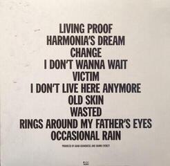 Vinyl Record The War On Drugs - I Don't Live Here Anymore (Blue Translucent) (2 LP) - 6