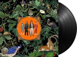 LP plošča Don Broco - Amazing Things (LP) - 1