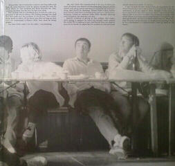 LP ploča Belle and Sebastian - If You're Feeling Sinister (LP) - 2