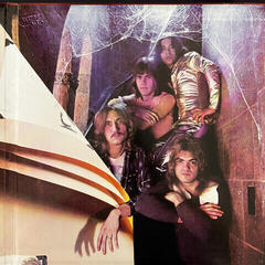 Vinylplate Joe Walsh The Smoker You Drink, The Player You Get (2 LP) (180g) (45 RPM) - 3