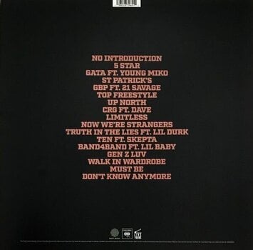 Vinyl Record Central Cee - Can't Rush Greatness (LP) - 3